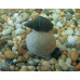Enterprise Tackle Imitation Snails